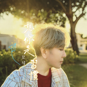想你是习惯