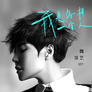 我是怎样一个人