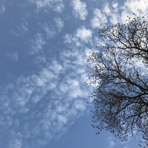 旅行的意义（Cover 陈绮贞）