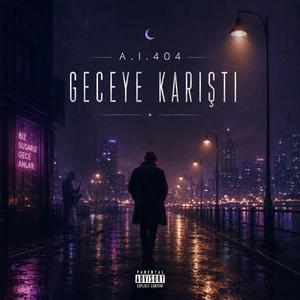 GECEYE KARIŞTI