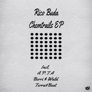 Chemtrails (Berri & Wald Remix)
