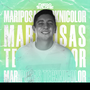 Mariposas Tecknicolor