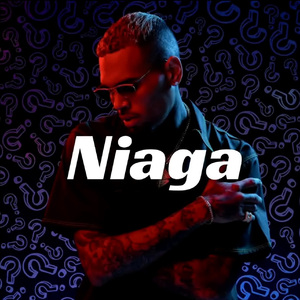 [不免费]--Niaga--Chris Brown & Dancehall Type Beat