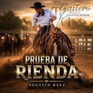 Prueba de Rienda