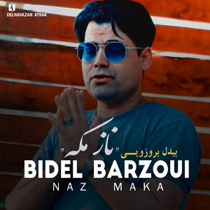 Vara Daste Men Beger