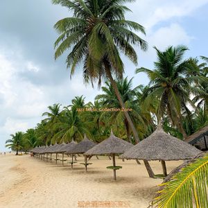 酒店柔和的爵士