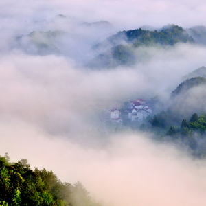 海边打雷鸟鸣声-Demo