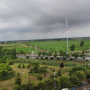 麻烦你看着我的眼睛