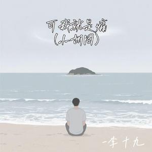 可我就是痛 (小胡同)