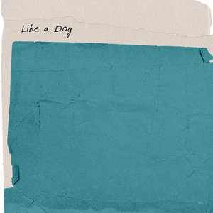 Like a Dog