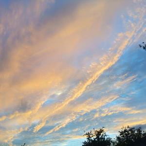 残酷月光 cover:乔任梁