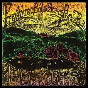 Excursions into Assonance