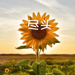 浪人情歌 (DJ电音版)