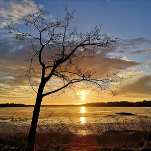 Miun Koti On Sulkavalla