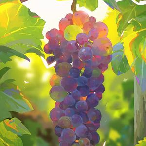 雪落一片又一片的浪漫冬夜