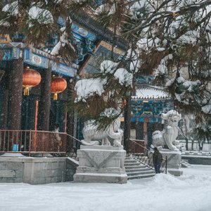 努力向前