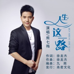 人生这一路 (DJ版)