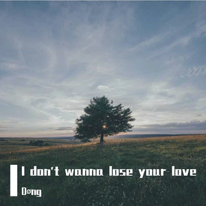 i don't wanna lose your love