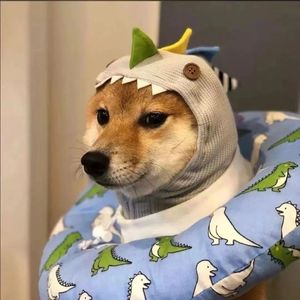 我们一起手拉手