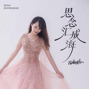 思念汇成海 (DJ默涵版)