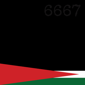6667