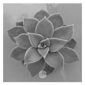 Punch Pow (Original Mix)