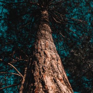 一尘不染1小时水疗印象数