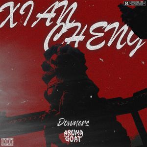 县城记 (body remix)