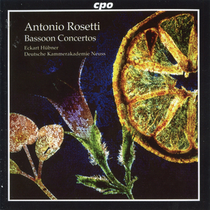 Bassoon Concerto in B-Flat Major, C74: I. Allegro spiritoso
