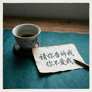请你告诉我 你不爱我