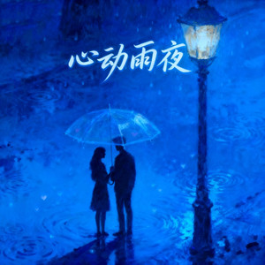 心动雨夜