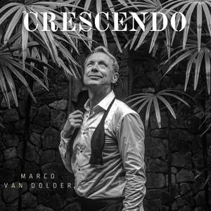 Vesti la giubba (piano accompaniment)