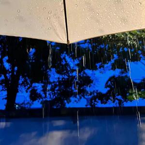 想和你漫步在雨淋湿的无尽夏里