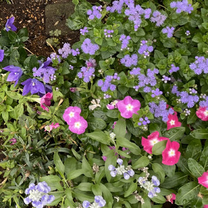 元気を抱きしめて