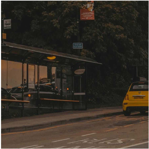 一起吹过晚风的街（cover：聂思诗）（翻自 Iris-瑄）