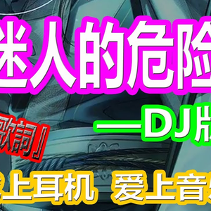 迷人的危险 (抖音DJ版) (翻自 dance flow)