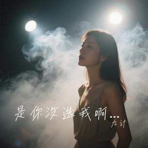 是你没选我啊 (九计 Remix)