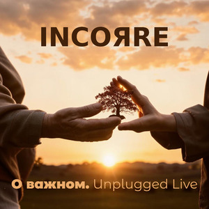 Разбивая витрины (Unplugged Live)