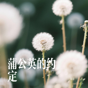 蒲公英的约定