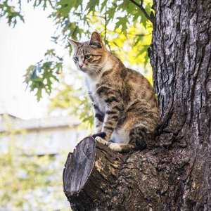 惟愿此心无怨尤