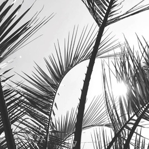 Influences (Martin Jarl Remix)