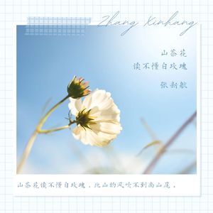 山茶花读不懂白玫瑰