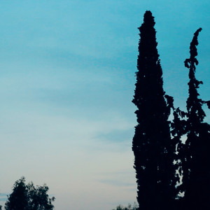 To Lay on Burning Coals