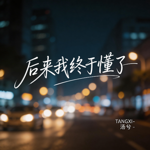 后来我终于懂了