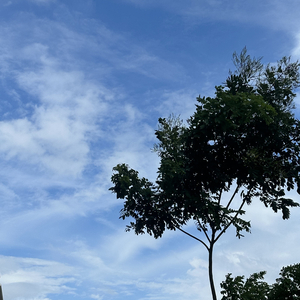 我们的故事像一场流星