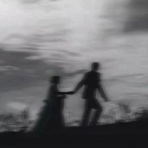 思念于风里蔓延