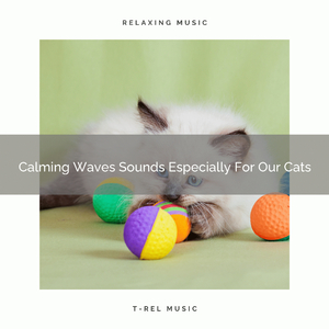 Total Wind Noises Especially For Your Cats