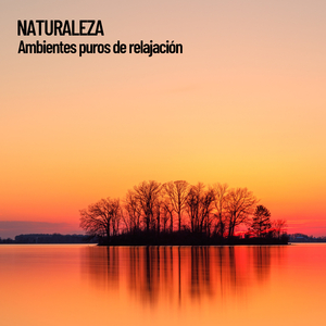 Meditación natural