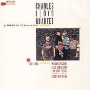 Night Blooming Jasmine