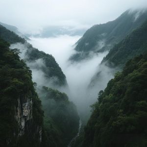 幽谷云深处